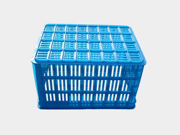 飞龙真人棋牌飞龙软件官网410飞龙体育数据盘口周转筐