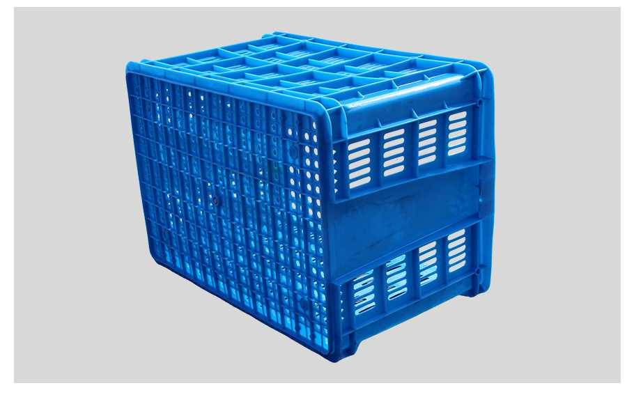 飞龙真人棋牌飞龙软件官网700飞龙体育数据盘口周转筐厚筐