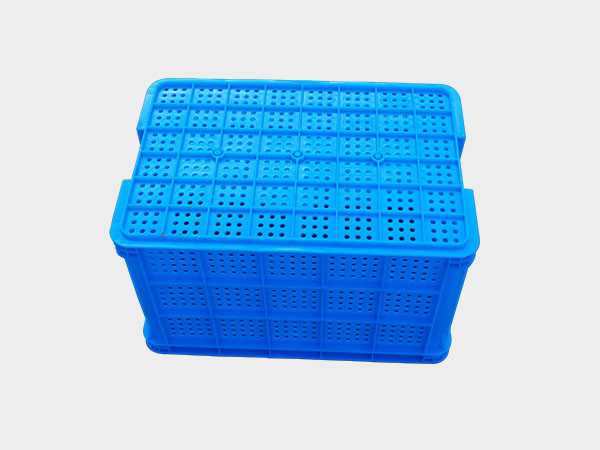 飞龙真人棋牌飞龙软件官网圆眼飞龙体育数据盘口周转筐