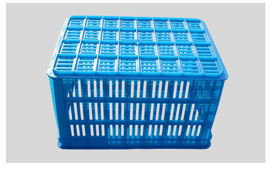 飞龙真人棋牌飞龙软件官网410飞龙体育数据盘口周转筐