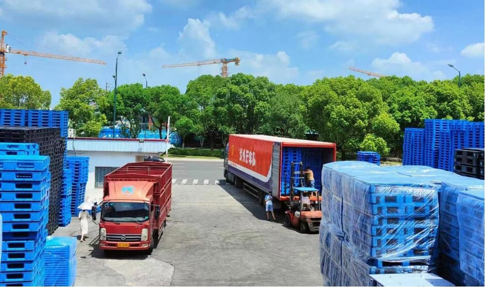 飞龙体育数据盘口飞龙棋牌下载