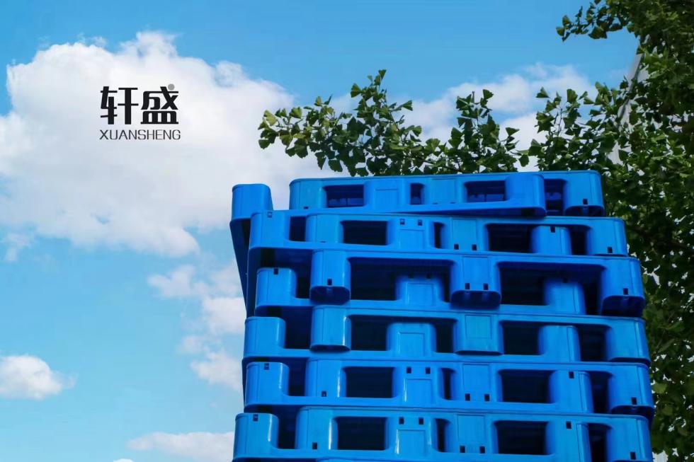 飞龙真人棋牌飞龙软件官网