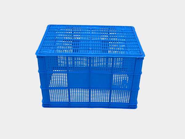 飞龙真人棋牌飞龙软件官网755飞龙体育数据盘口周转筐