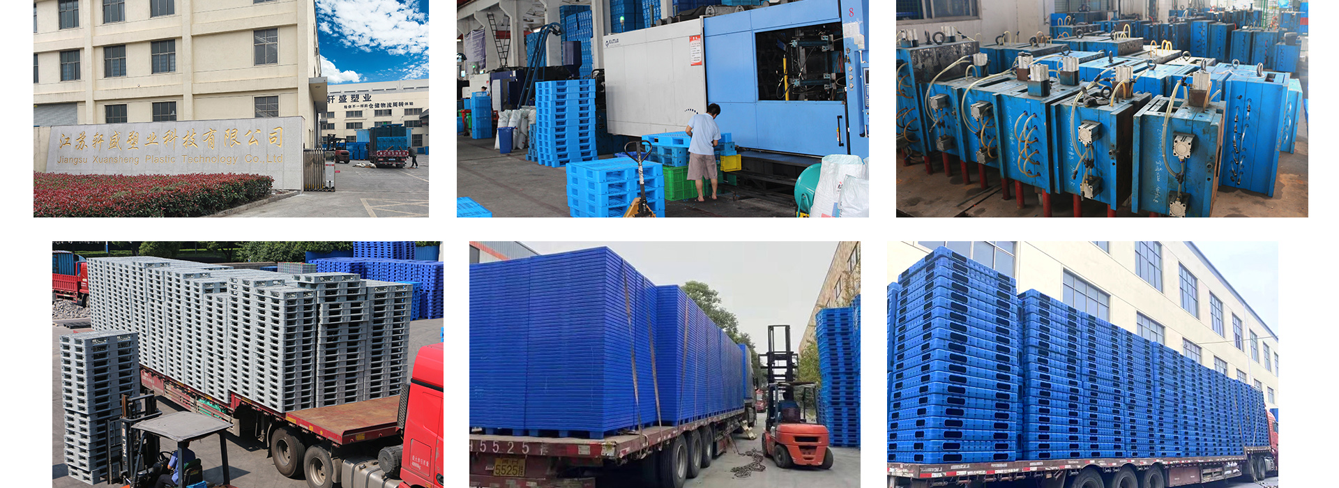 多功能吹塑飞龙棋牌下载