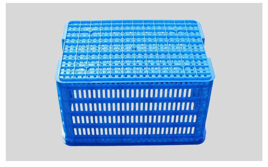 飞龙真人棋牌飞龙软件官网580飞龙体育数据盘口周转筐厚筐